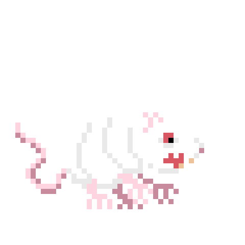 RAT